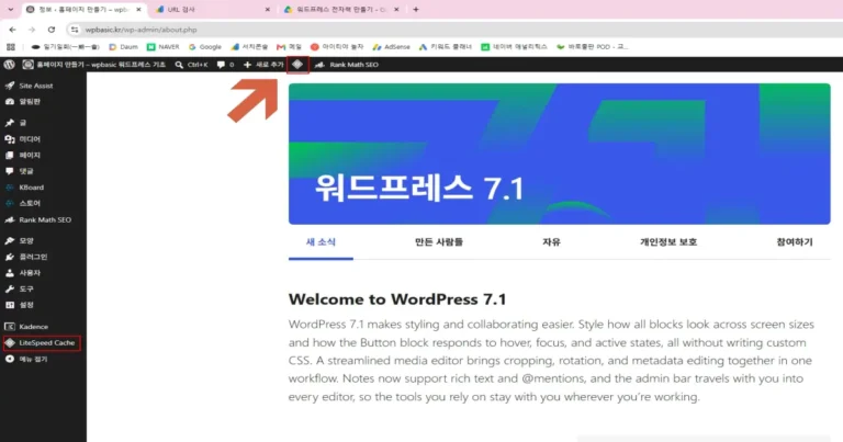 라이트스피드 캐시 버튼 이미지